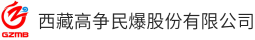 西藏高争民爆股份有限公司